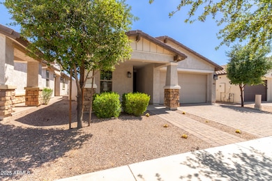 10061 E Thatcher Ave, Mesa, AZ 85212 - photo 5
