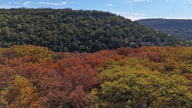 6608 N US Hwy 83, Leakey, TX 78873 - photo 3