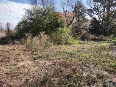 74 Lemons Rd, Grant, AL 35747 - photo 3