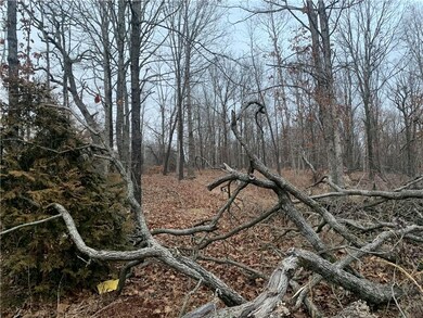 0 Logan Cave 5 Acres + - Rd unit 1173991, Siloam Springs, AR 72761 - photo 6