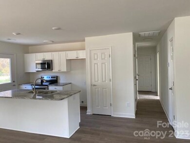 1009 Adams St, Statesville, NC 28677 - photo 6