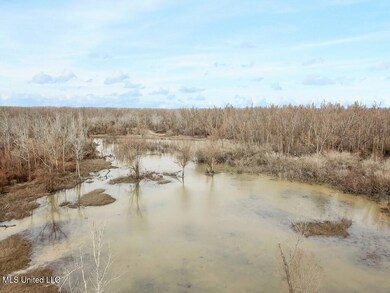 1002 Travelers Rest, Lorman, MS 39096 - photo 6