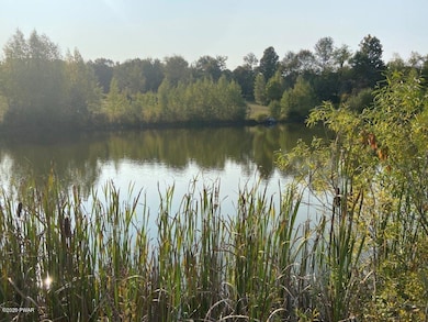 489 Saint Tikhons Rd, Waymart, PA 18472 - photo 7