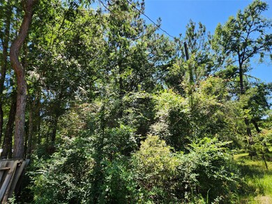 LOT 3 Youpon Dr, Plantersville, TX 77363 - photo 4