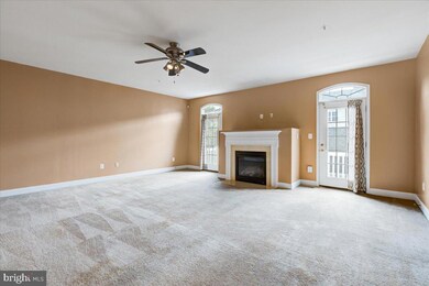 519 Spectator Ave, Hyattsville, MD 20785 - photo 3