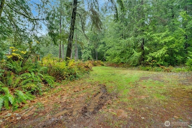 2909 144th St NW, Gig Harbor, WA 98332 - photo 3