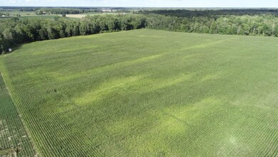 130 N Hale Rd, Twining, MI 48766 - photo 4