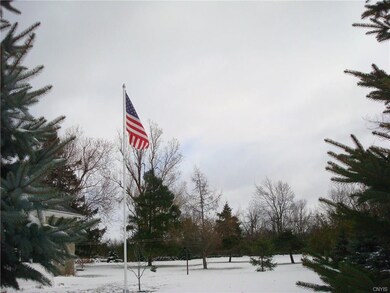 Another view of the beautiful yard.