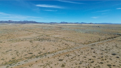DJI_0440.JPG
