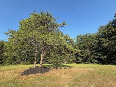 340 State Road S-42-779, Inman, SC 29349 - photo 6