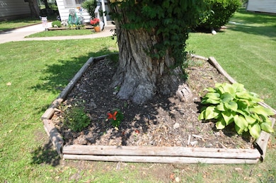 front landscaping