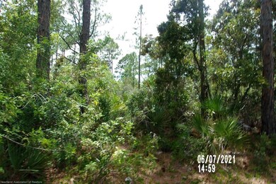 496 Dreamland Dr, Lake Placid, FL 33852 - photo 7