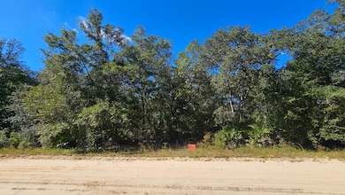 0 Neilsen Ave unit 25581217, Interlachen, FL 32148 - photo 4