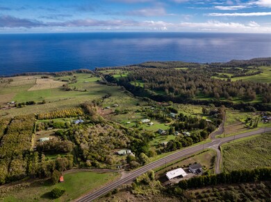 44-2248 Hawai?i Belt Rd, Honokaa, HI 96727 - photo 3