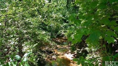 Stream at rear