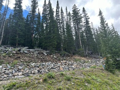 View of local wilderness