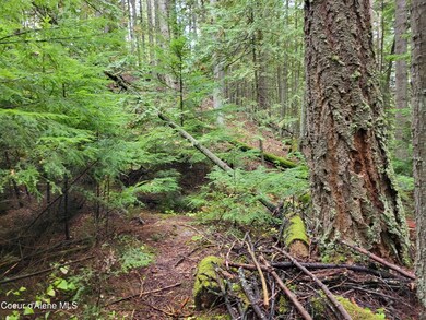 Granite Creek 4
