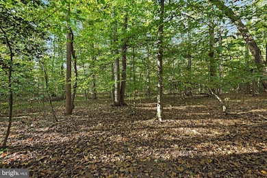 0 Holly Corner Rd unit VAST2043660, Fredericksburg, VA 22406 - photo 2