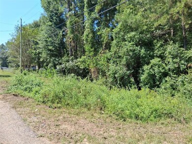 0 Alma Dr, Wilmer, AL 36587 - photo 5