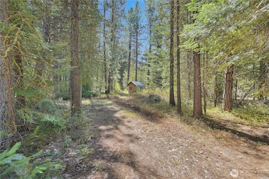 17265 Lake Julius Rd, Leavenworth, WA 98826 - photo 6