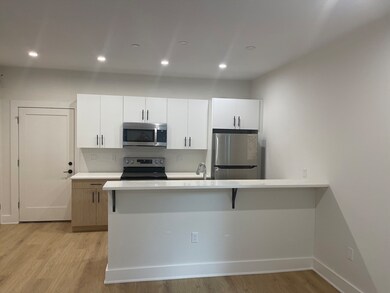 69 Bailey St unit 207, Boston, MA 02124 - photo 4