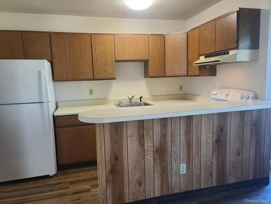 1022 Violet Ave unit A, Hyde Park, NY 12538 - photo 5