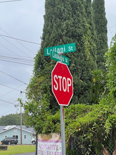 719 Laukapu St, Hilo, HI 96720 - photo 2