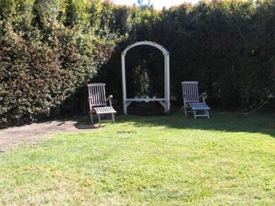 Garden looking towards hedge.
