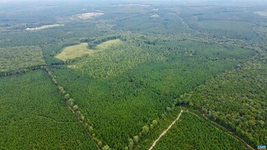 6891 Grand Brooks Rd, Spotsylvania, VA 22551 - photo 4