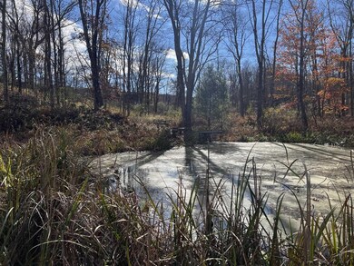 345 Tow Path Rd, Accord, NY 12404 - photo 6