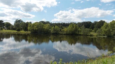 0 County Road 422, Epps Township, MO 63901 - photo 7