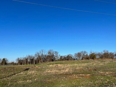 0 Galland Dr unit RTC2494677, Shelbyville, TN 37160 - photo 4