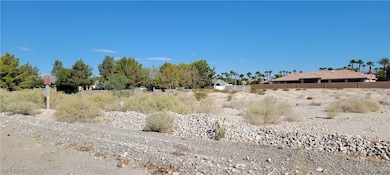 7026 Farm Rd, Las Vegas, NV 89131 - photo 4