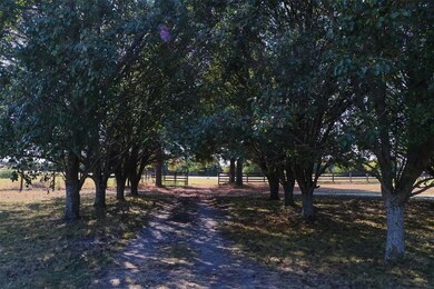 Gorgeous shade tree entrance