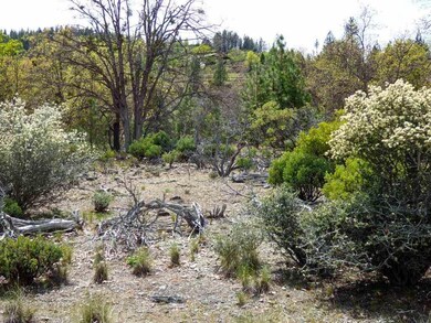 0 S Kidder Loop, Etna, CA 96027 - photo 6
