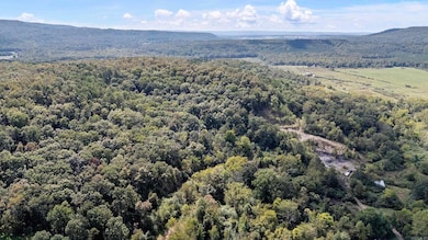 TRACT 2&3-13610 Arkansas 105, Hector, AR 72843 - photo 5