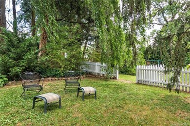 Expansive, Luscious private garden area with several magnificent trees over 100 years old. It's like a park here.