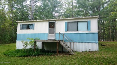 8217 W Oakwood Ave, Baldwin, MI 49304 - photo 2