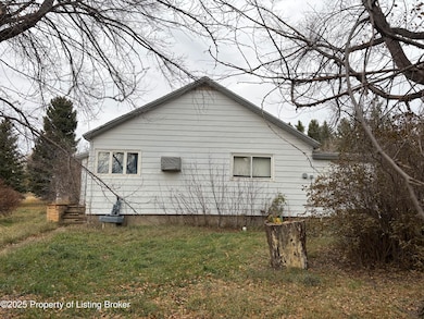 808 2nd Ave NW, Hettinger, ND 58639 - photo 3