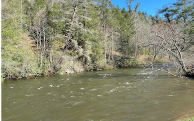 LOT 5 Woodpecker Resort, Blue Ridge, GA 30513 - photo 2