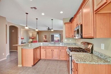 1104 W Dove Tree Ave, San Tan Valley, AZ 85140 - photo 6