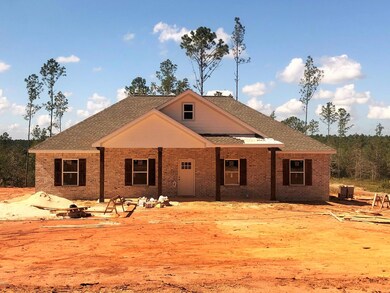 134 Leslie Williams Rd, Lucedale, MS 39452 - photo 2