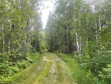 31069 Duluth Missabe and Iron, Greenway Township, MN 55775 - photo 6