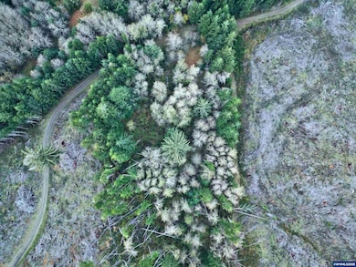 0 Wright Creek Rd, Toledo, OR 97366 - photo 6