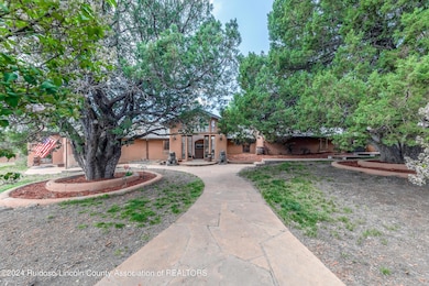 231 Cedar Crest Rd, Nogal, NM 88341 - photo 4