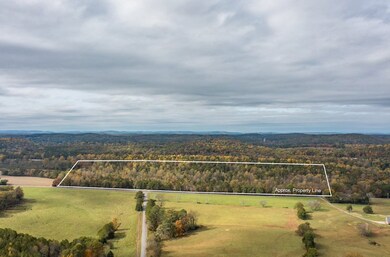 Outline of all 67 acres