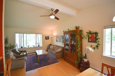 271 Aspen Dr, Durango, CO 81301 - photo 7