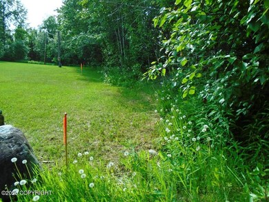 Tr 3 Park Dr, Anchorage, AK 99567 - photo 3