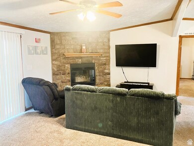 275 S Maple St, Wellington, UT 84542 - photo 5