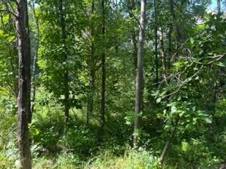 6.45 acres Dublin Rd, Byron, WI 54618 - photo 2